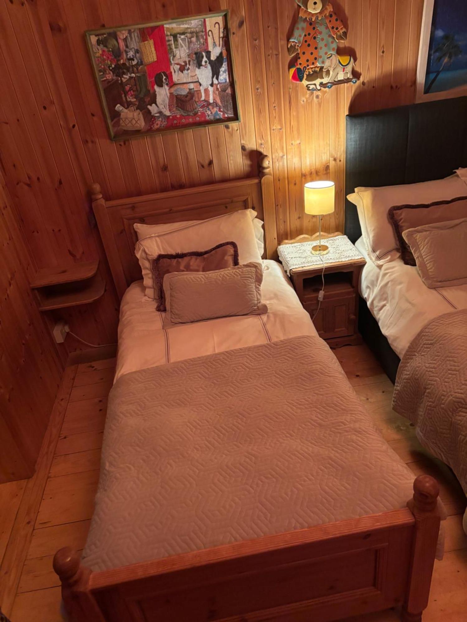 Cosy Countryside Log Cabin Kilkenny Extérieur photo