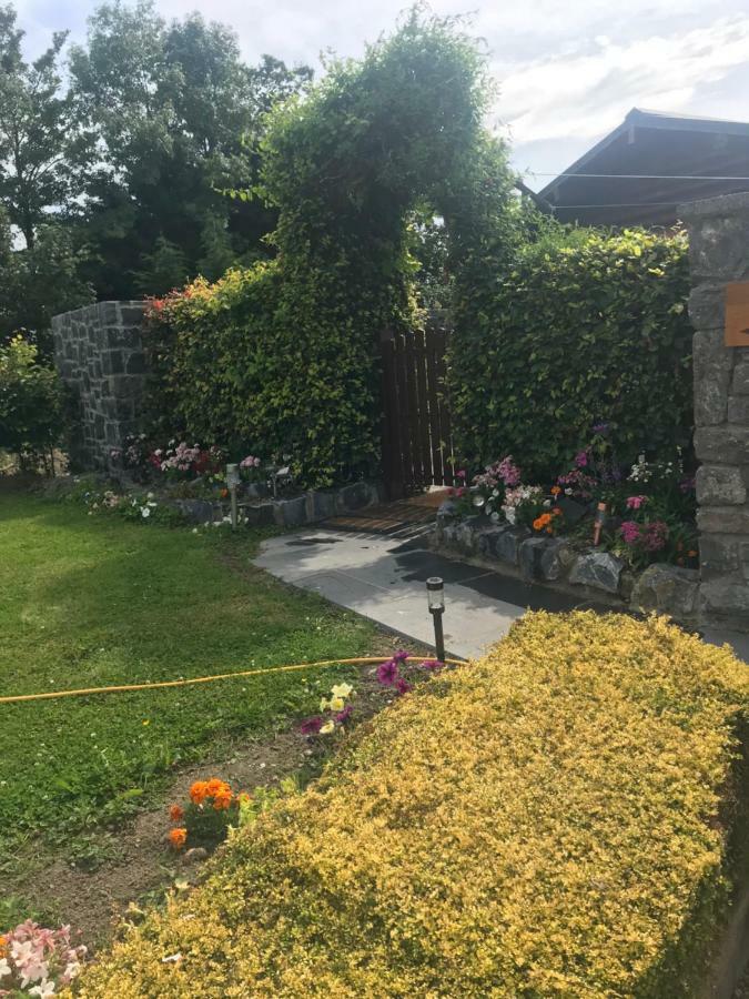 Cosy Countryside Log Cabin Kilkenny Extérieur photo